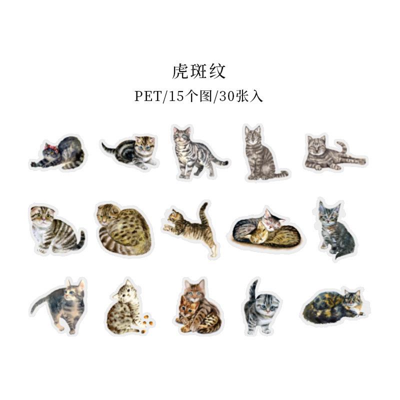 30sheets Cute Cat Stickers Pack Anime Resin Transparent Water Bottle Waterproof Stickers Aesthetic for Laptop
30sheets Cute Cat Stickers Pack Anime Resin Transparent Water Bottle Waterproof Stickers Aesthetic for Laptop