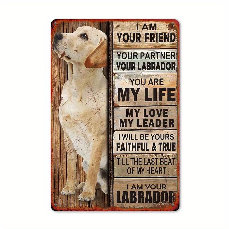 Labrador theme design, flat print vintage metal sign, square iron hanging picture, wall decoration, suitable for kitchen, home 20x30cm(7.8x11.8inch)
Labrador theme design, flat print vintage metal sign, square iron hanging picture, wall decoration, suitable for kitchen, home 20x30cm(7.8x11.8inch)