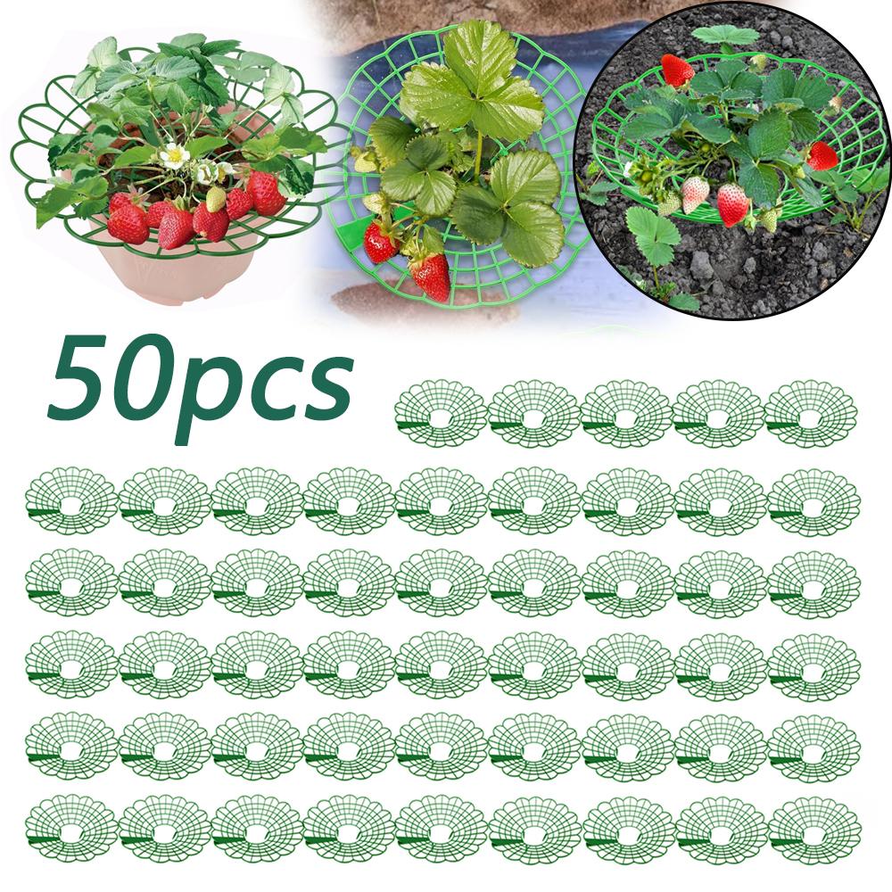 10-50 Pieces Strawberry Stand, Anticorrosive Strawberry Planting Stand, Strawberry Tray with 3 Sturdy Stands, Weatherproof Plastic Strawberry Cage 10pcs
10-50 Pieces Strawberry Stand, Anticorrosive Strawberry Planting Stand, Strawberry Tray with 3 Sturdy Stands, Weatherproof Plastic Strawberry Cage 10pcs