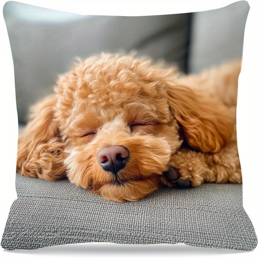 2D flat - 1 pillowcase, casual theme, parabolic design, size 18 * 18 inches, single-sided 2D printing, zipper seal 40x40cm/16x16inch
2D flat - 1 pillowcase, casual theme, parabolic design, size 18 * 18 inches, single-sided 2D printing, zipper seal 40x40cm/16x16inch