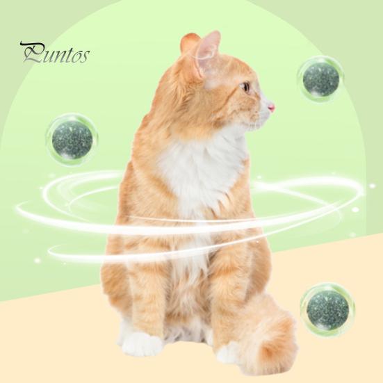Авокадо, кошачья мята, настенный мяч, игрушка для кошек, съедобная закуска для лизания, полезные для здоровья лакомства, вращающиеся на 360 градусов игрушки для ухода за зубами, игрушки для котят с клейким дизайном на спине зелёный 
Авокадо, кошачья мята, настенный мяч, игрушка для кошек, съедобная закуска для лизания, полезные для здоровья лакомства, вращающиеся на 360 градусов игрушки для ухода за зубами, игрушки для котят с клейким дизайном на спине зелёный