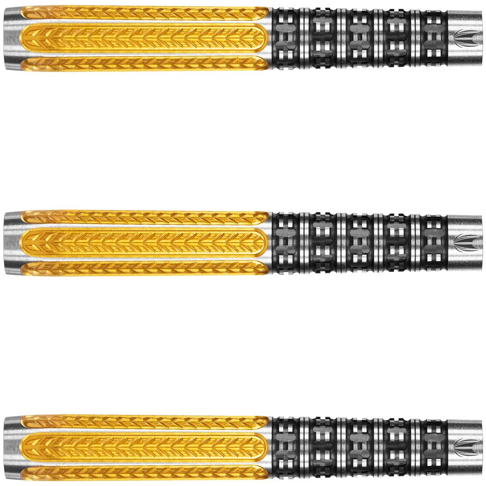 TARGET Target RVB 95 G2 2BA Raymond Van Barneveld Player Model 17g 100158 Dart Barrel
TARGET Target RVB 95 G2 2BA Raymond Van Barneveld Player Model 17g 100158 Dart Barrel