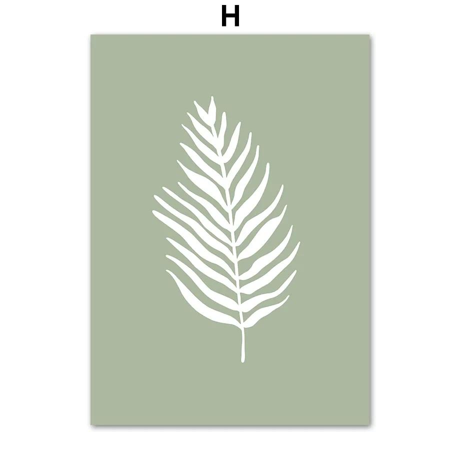 Шалфейно-зеленый лист геометрия линия холст живопись Матисс абстрактный бохо настенное искусство постер и принты для гостиной домашний декор стен 21X30cm Unframed
Шалфейно-зеленый лист геометрия линия холст живопись Матисс абстрактный бохо настенное искусство постер и принты для гостиной домашний декор стен 21X30cm Unframed