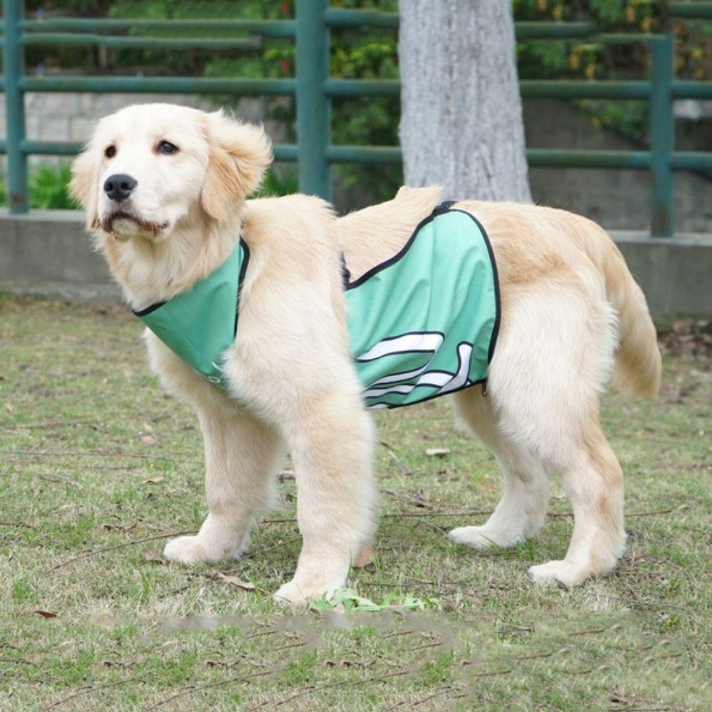 Waterproof Dog Bellyband Clothes Anti Dirt Dog Apron Dog Belly Protection Clothing Outdoor
Waterproof Dog Bellyband Clothes Anti Dirt Dog Apron Dog Belly Protection Clothing Outdoor