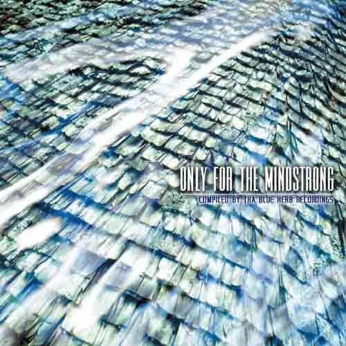 CD BLUE HERB RECORDINGS - Only For The Mindstrong TBHRCD001 Japan ObiRap & Hip-Hop/R&B Used
CD BLUE HERB RECORDINGS - Only For The Mindstrong TBHRCD001 Japan ObiRap & Hip-Hop/R&B Used