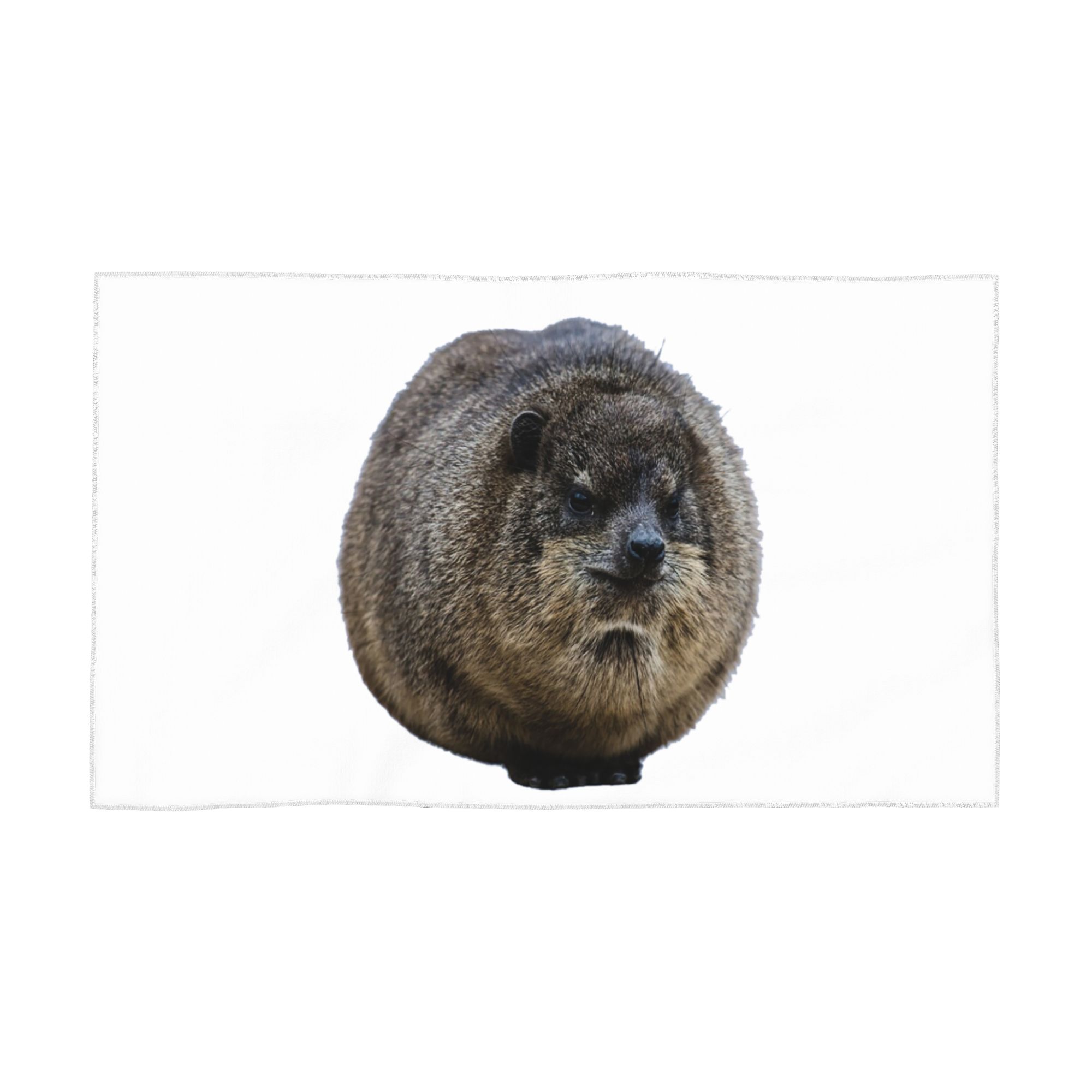Hyrax Coquette or Croquette Soft Face Towel Quick Dry Pool Bath Cotton Towels Absorbent Quick W30*H60(CM)
Hyrax Coquette or Croquette Soft Face Towel Quick Dry Pool Bath Cotton Towels Absorbent Quick W30*H60(CM)