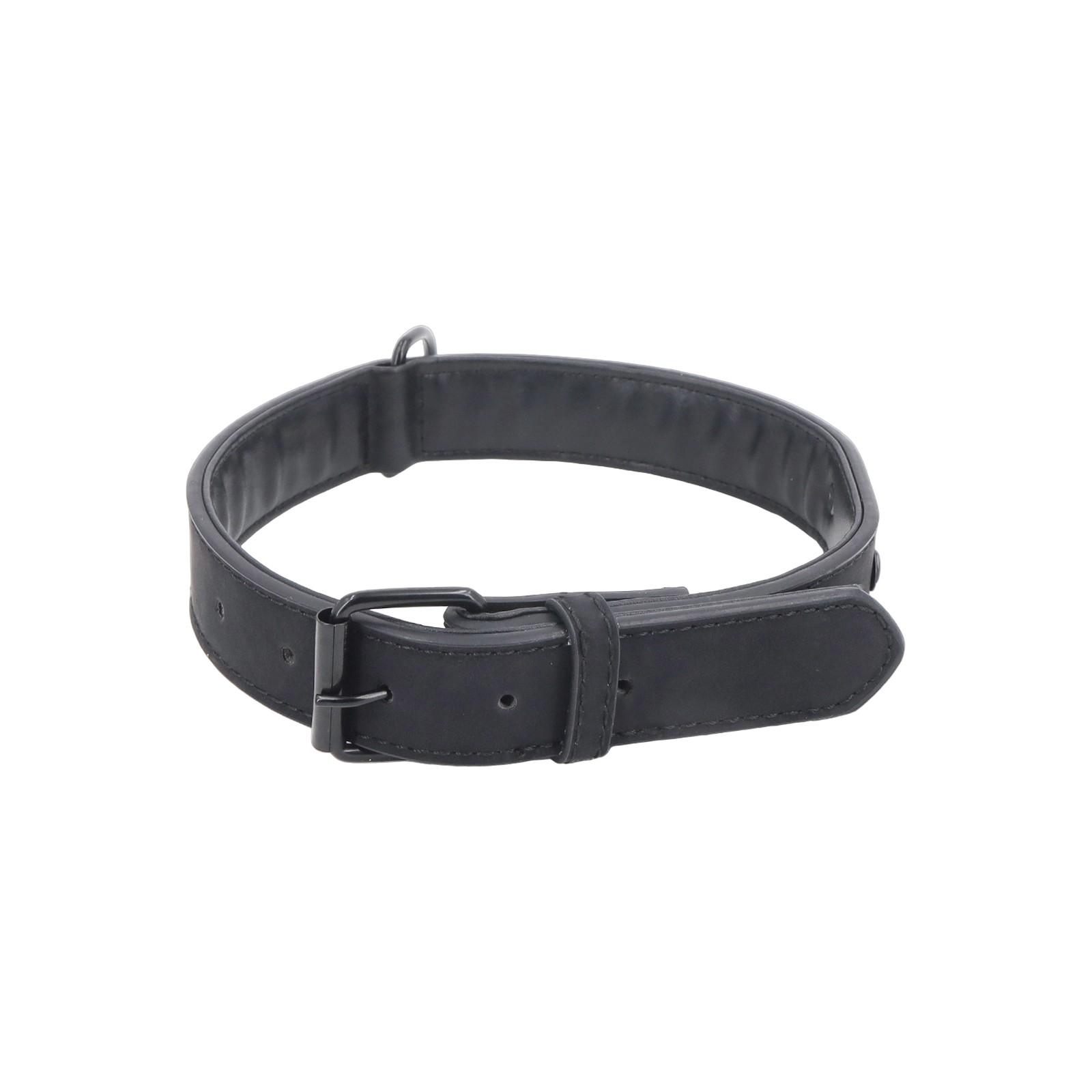 Мягкий кожаный ошейник для собак Didog, дышащий, прочный кожаный ошейник для собак с регулируемой металлической пряжкой, устойчивой к ржавчине, для маленьких, средних и больших собак One Size чёрный
Мягкий кожаный ошейник для собак Didog, дышащий, прочный кожаный ошейник для собак с регулируемой металлической пряжкой, устойчивой к ржавчине, для маленьких, средних и больших собак One Size чёрный
