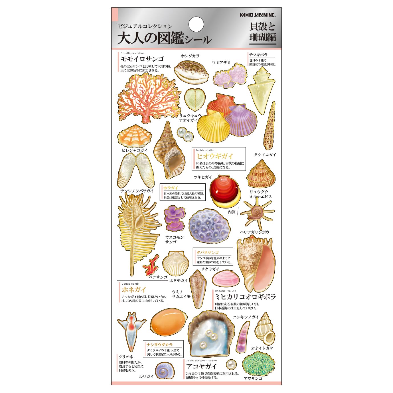 Kamio Japan Stickers Adult Encyclopedia Stickers Seashells and Coral 224586
Kamio Japan Stickers Adult Encyclopedia Stickers Seashells and Coral 224586