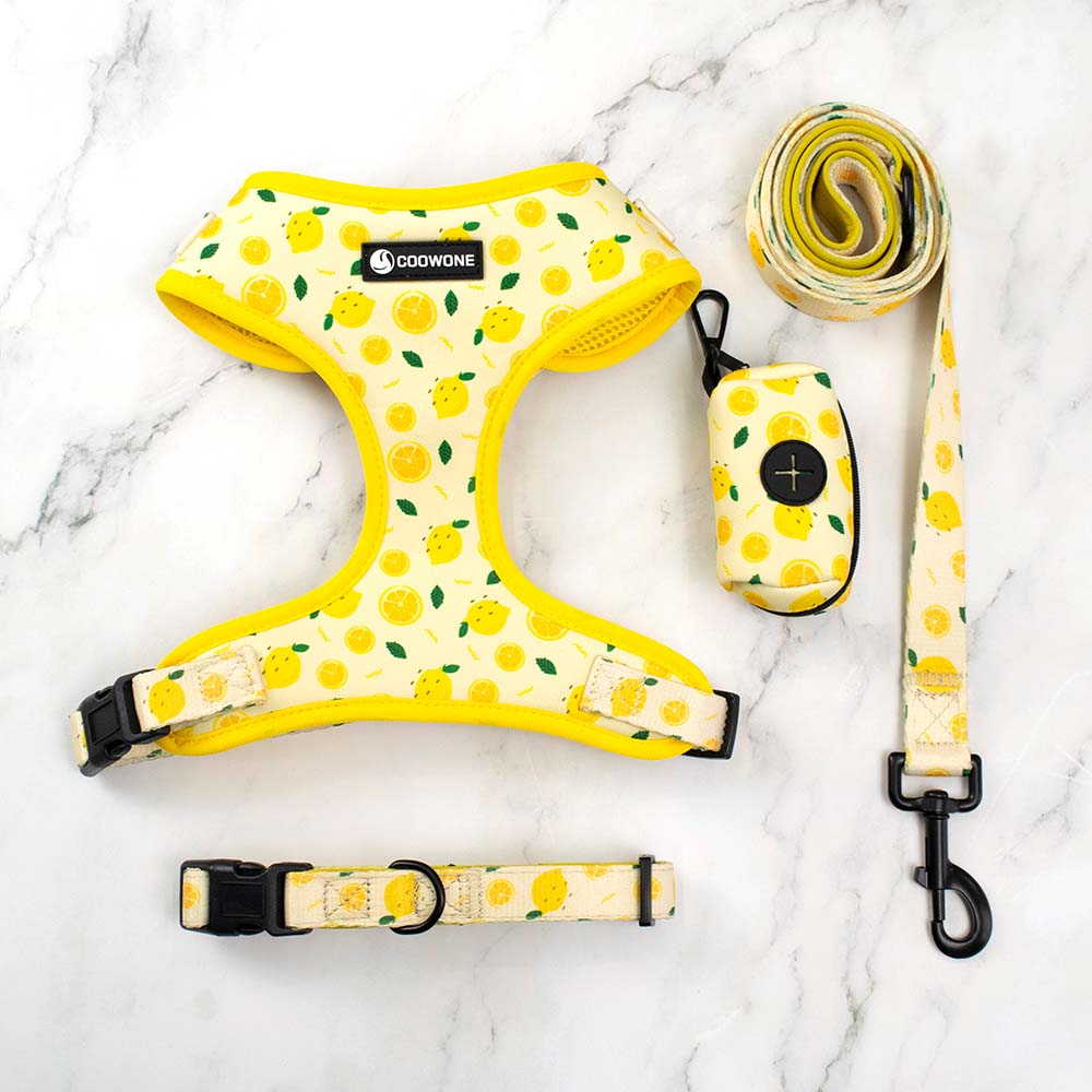 Collarlogo Adjustable Pet Dog Collar Durable Soft Cute Creative Lemon Design Leash Neoprene Harness Poop Poo Bag Dispenser L
Collarlogo Adjustable Pet Dog Collar Durable Soft Cute Creative Lemon Design Leash Neoprene Harness Poop Poo Bag Dispenser L