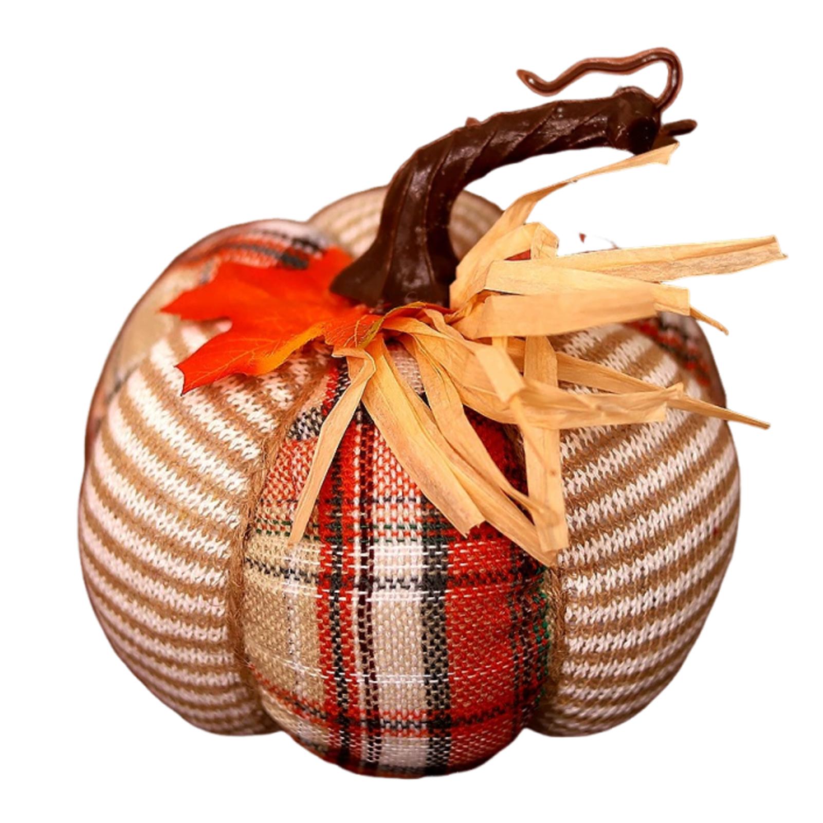 Autumn Pumpkin, Pumpkin, Pumpkin Versatile, Store, Living Room, Garden
Autumn Pumpkin, Pumpkin, Pumpkin Versatile, Store, Living Room, Garden