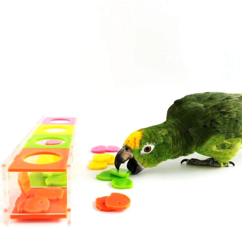Finch Budgie Education Parakeet Playing Training Bird Toys Parrot Puzzle Coin Box Color Separation
Finch Budgie Education Parakeet Playing Training Bird Toys Parrot Puzzle Coin Box Color Separation