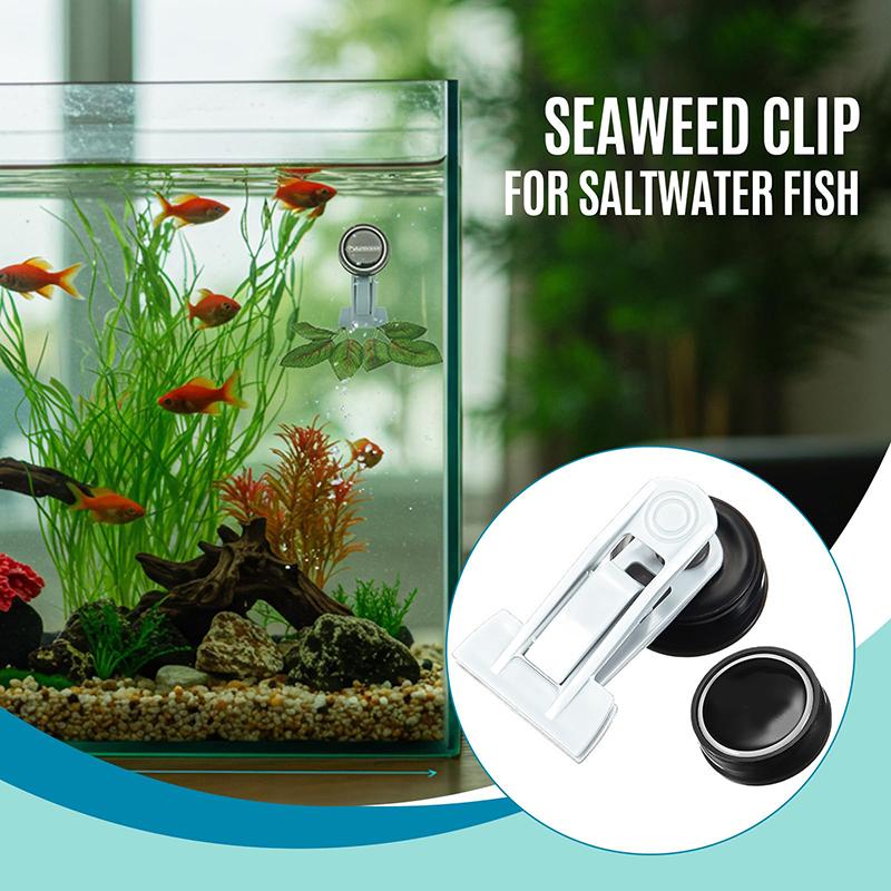 Магнитные клипсы для кормления водорослями Аксессуары для аквариума с морской водой Магнит для водорослей Кормушка для морских овощей для рыб белый
Магнитные клипсы для кормления водорослями Аксессуары для аквариума с морской водой Магнит для водорослей Кормушка для морских овощей для рыб белый