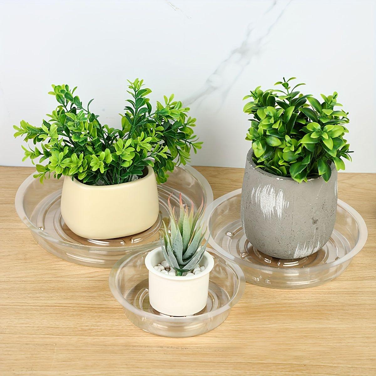 4Pcs Plastic Plant Saucer 6/8/10/12 inch Durable Clear Plant Saucers Flower Pot Tray Excellent for Indoor & Outdoor Plants
4Pcs Plastic Plant Saucer 6/8/10/12 inch Durable Clear Plant Saucers Flower Pot Tray Excellent for Indoor & Outdoor Plants