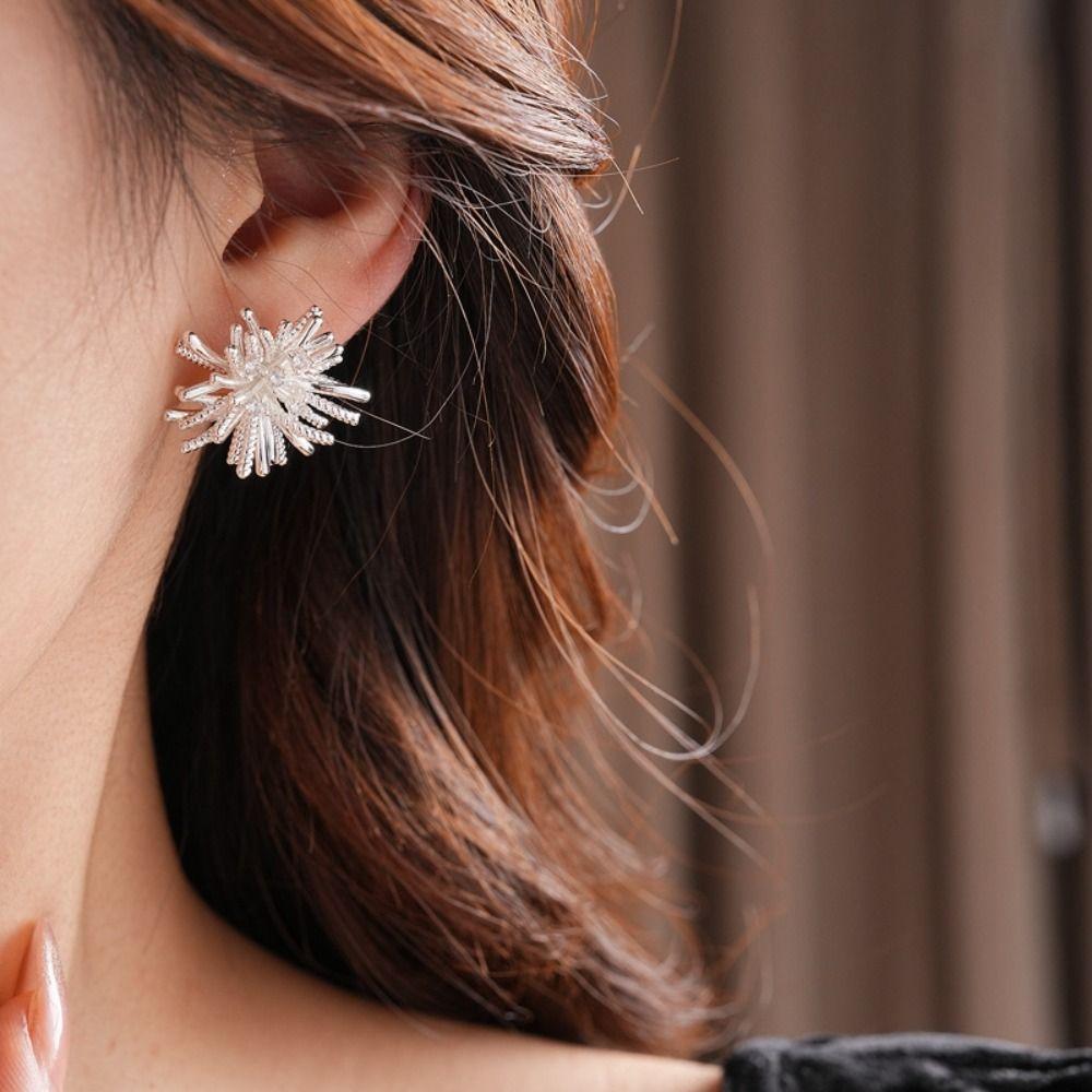 Exquisite Fireworks Shape Earrings Zircon Geometric Flower Earrings Metal Stud Earrings Gift серебряный
Exquisite Fireworks Shape Earrings Zircon Geometric Flower Earrings Metal Stud Earrings Gift серебряный