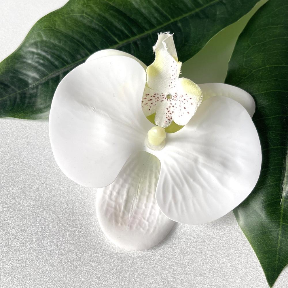 Korean Style Seaside Vacation Headwear Hair Accessories Bohemia Barrettes Duckbill Clip Photograph
Korean Style Seaside Vacation Headwear Hair Accessories Bohemia Barrettes Duckbill Clip Photograph