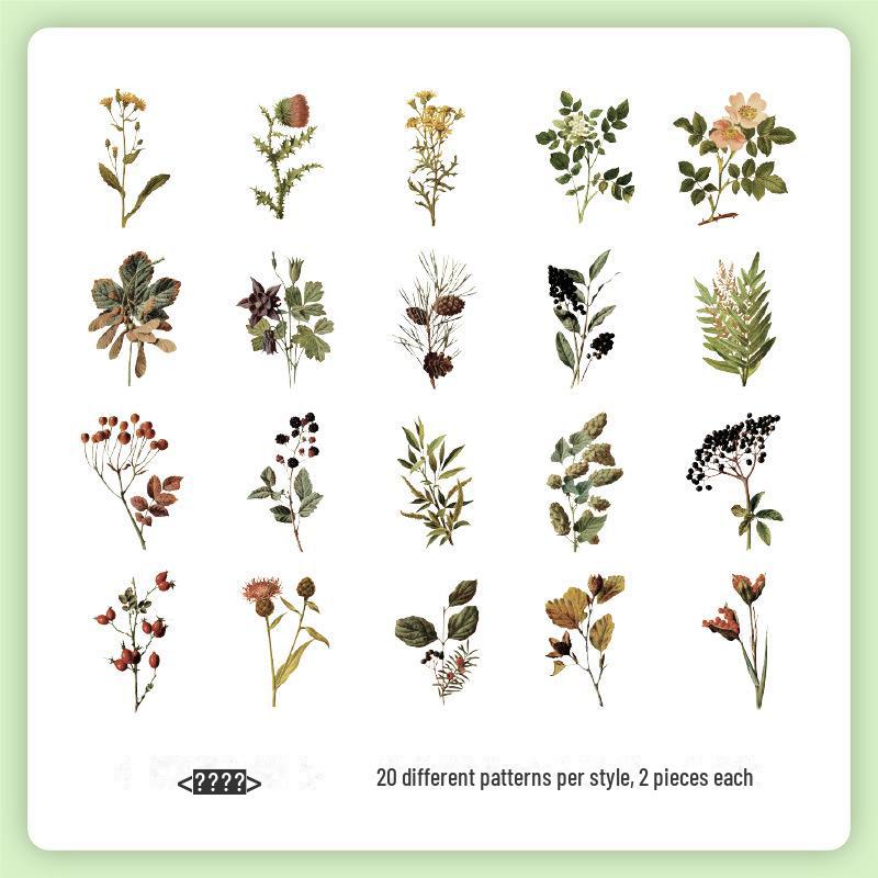 Набор наклеек «Ретро Природа Юэчжэнь»: Цветы и бабочки для детских справочников
Набор наклеек «Ретро Природа Юэчжэнь»: Цветы и бабочки для детских справочников