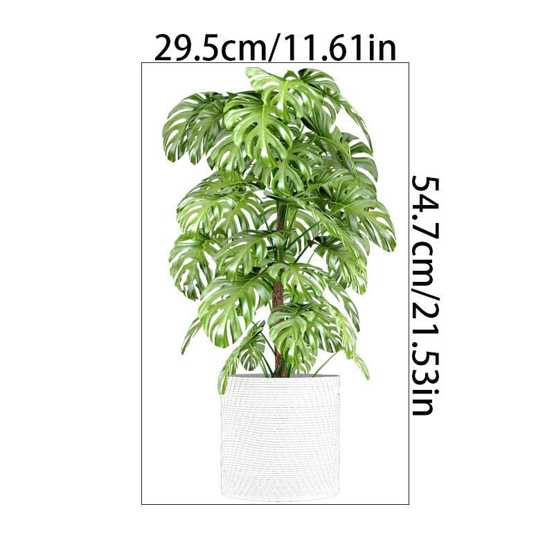 3D Stickers Large Green Plants Wall Stickers Palm Leaves Waterproof Decals for Living Room Bathroom Christmas Home Decoration (as the picture,54.7x29.5CM)
3D Stickers Large Green Plants Wall Stickers Palm Leaves Waterproof Decals for Living Room Bathroom Christmas Home Decoration (as the picture,54.7x29.5CM)