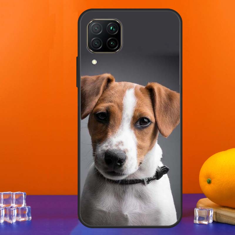 Jack Russell Terrier Dog For Huawei Nova Y90 Y91 Y60 Y70 Y72 Y61 9 10 SE 12i 12s 11i 5T P60 Pro P20 P30 P40 Lite Case Huawei Nova Y91
Jack Russell Terrier Dog For Huawei Nova Y90 Y91 Y60 Y70 Y72 Y61 9 10 SE 12i 12s 11i 5T P60 Pro P20 P30 P40 Lite Case Huawei Nova Y91