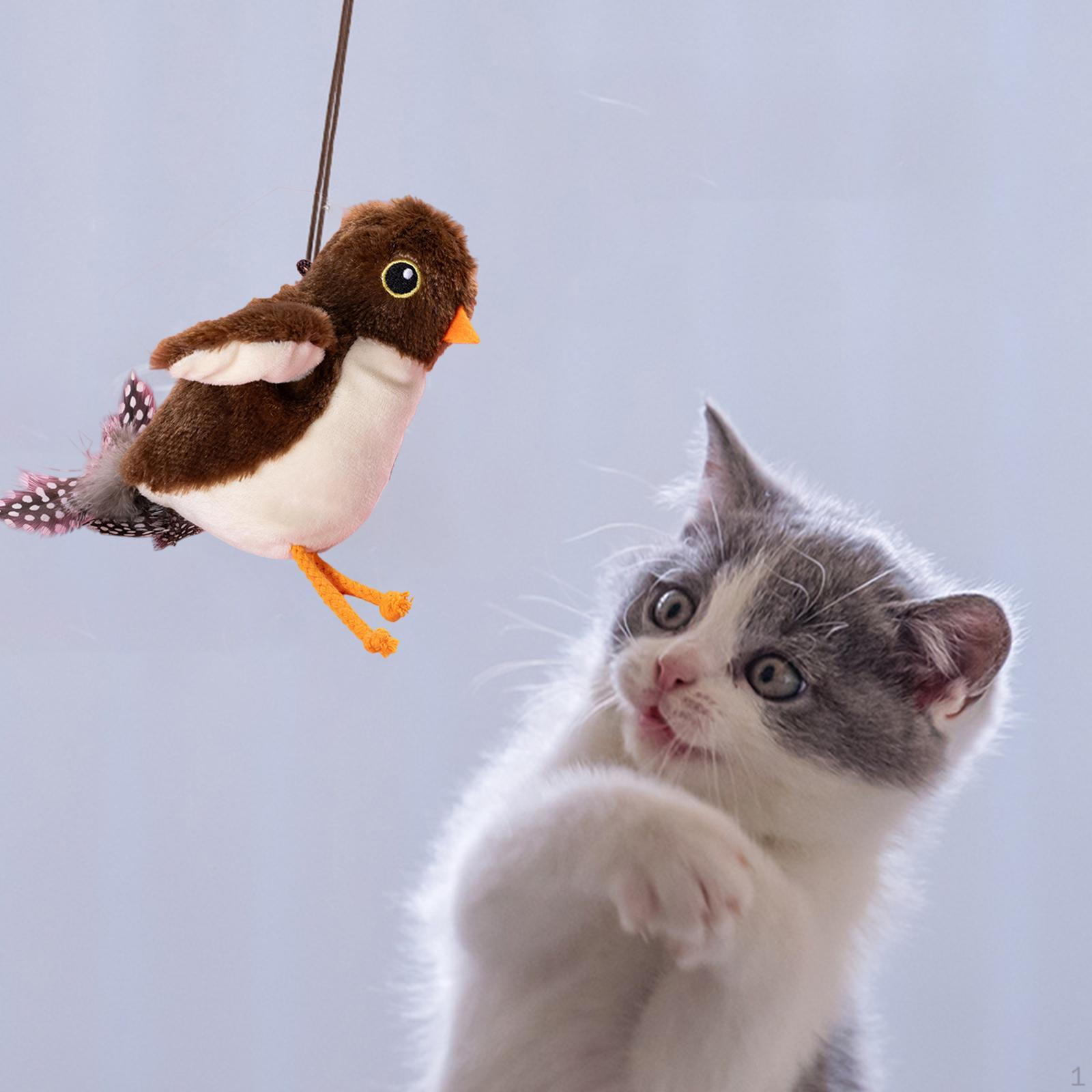 Игрушка для кошек с крыльями, хлопающая птичка, развлечения для скучающих домашних кошек, активируемая прикосновением Style B
Игрушка для кошек с крыльями, хлопающая птичка, развлечения для скучающих домашних кошек, активируемая прикосновением Style B