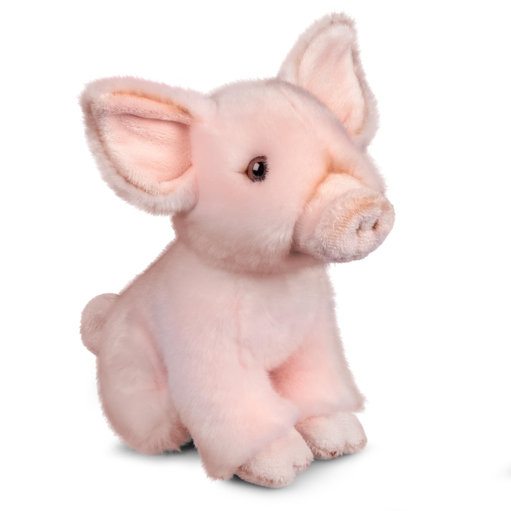 Pig stuffed stuffed pig stuffed mini baby foreign stuffed Tobar Animigos animal, animal, animal, pig, pig, pig, pig, animal,
Pig stuffed stuffed pig stuffed mini baby foreign stuffed Tobar Animigos animal, animal, animal, pig, pig, pig, pig, animal,