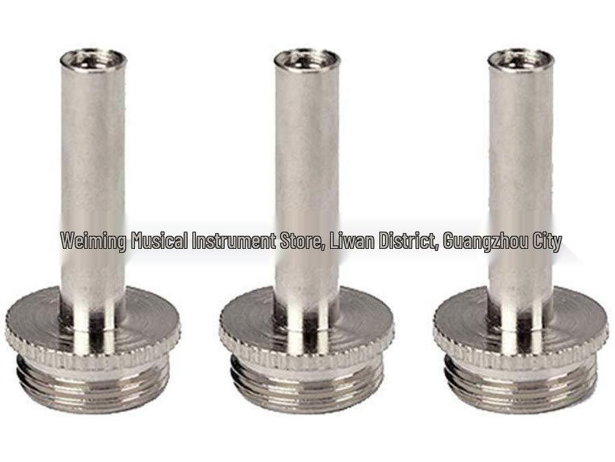 Compact Finger Stick Key Rod: Palm-Sized Musical Instrument Accessory ABS
Compact Finger Stick Key Rod: Palm-Sized Musical Instrument Accessory ABS