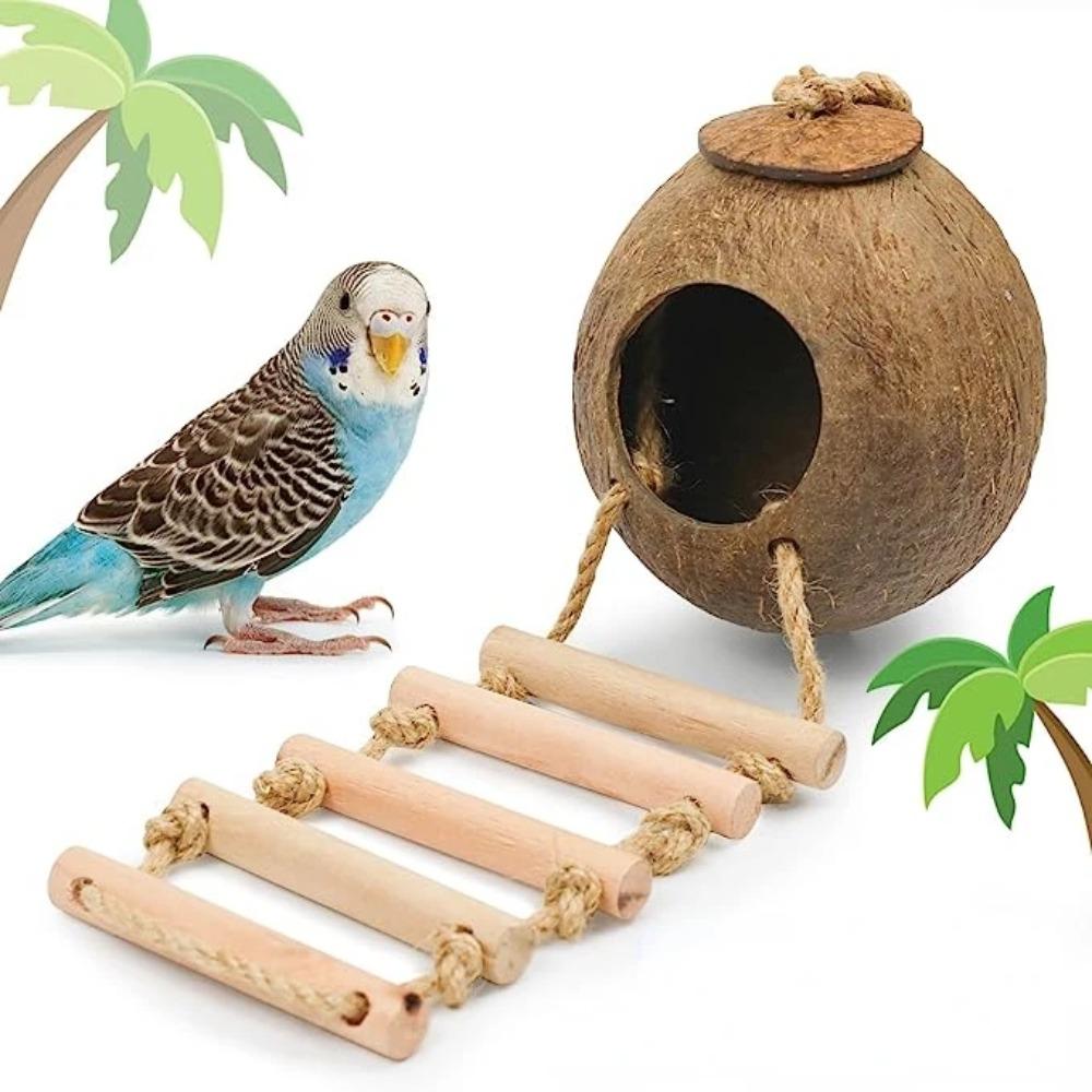Breathable Parrot Hideout with Ladder Hamster Cage Bird Toys Coconut Bird Cage Outdoor S-Rough surface
Breathable Parrot Hideout with Ladder Hamster Cage Bird Toys Coconut Bird Cage Outdoor S-Rough surface
