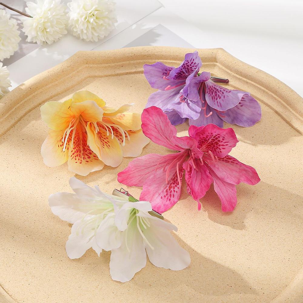 4Pcs/Set Simulation Bohemian Hair Clip Simple Forest Style Hair Accessory for Women Daily Wear
4Pcs/Set Simulation Bohemian Hair Clip Simple Forest Style Hair Accessory for Women Daily Wear