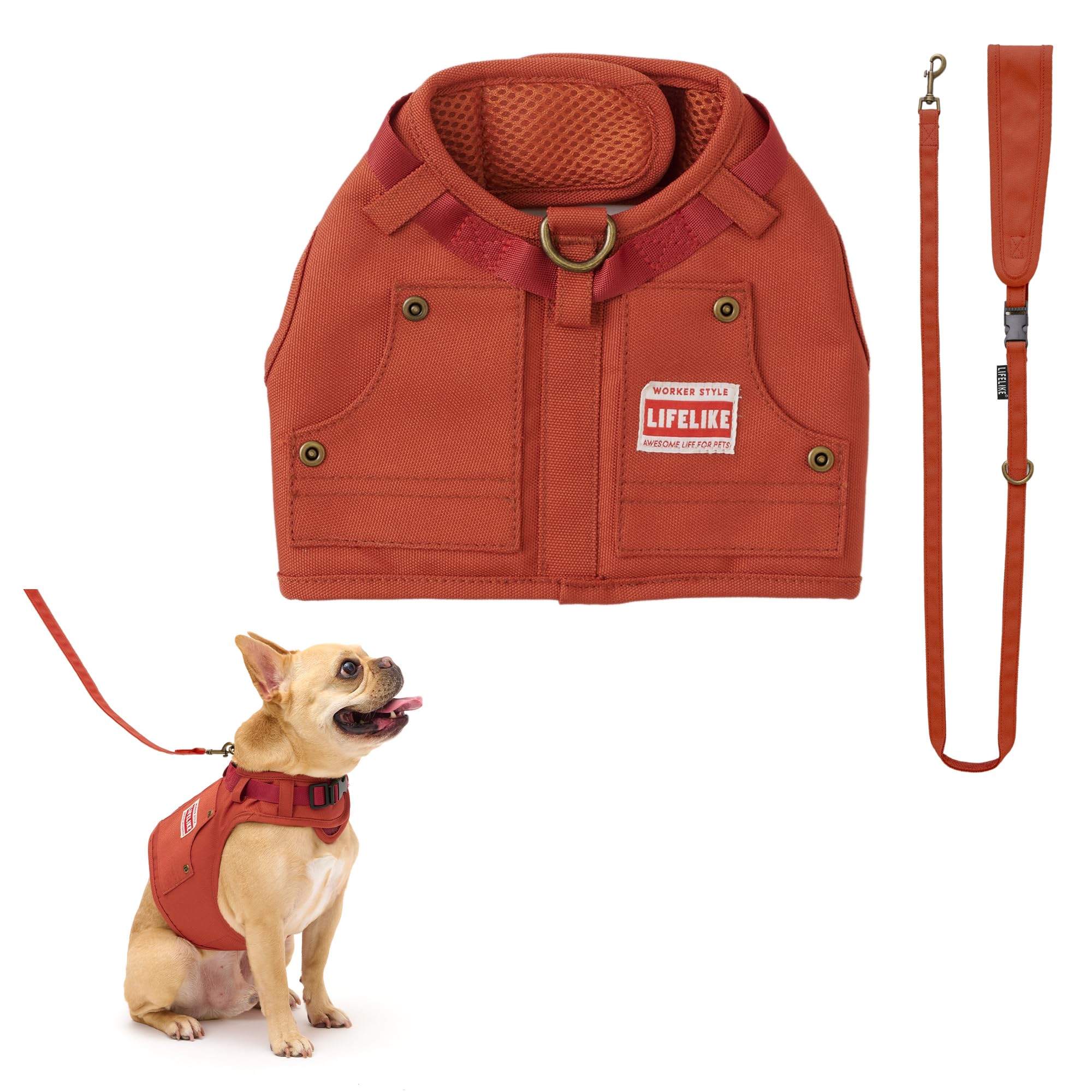 Jacket Harness for with for Small Dog LIFELIKE LIFELIKE OfficialWork Dogs, Leash, Dogs, Spring/Summer, Autumn/Winter, Clothing, Walks, Outings,
Jacket Harness for with for Small Dog LIFELIKE LIFELIKE OfficialWork Dogs, Leash, Dogs, Spring/Summer, Autumn/Winter, Clothing, Walks, Outings,
