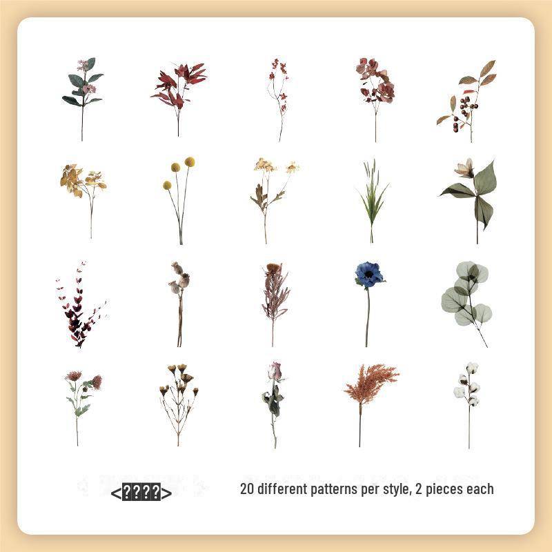 Набор наклеек «Ретро Природа Юэчжэнь»: Цветы и бабочки для детских справочников
Набор наклеек «Ретро Природа Юэчжэнь»: Цветы и бабочки для детских справочников