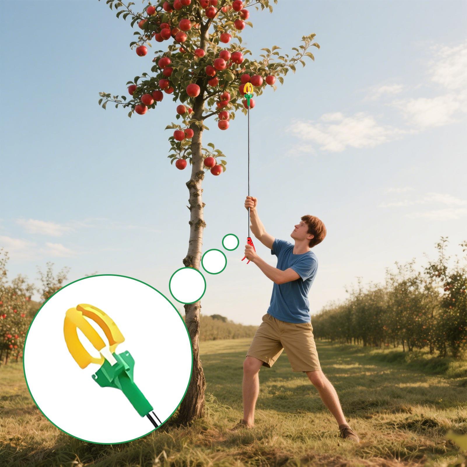 Tree Fruit Picker Tool Three Claws Telescoping Fruit Picker Adjustable Length Handheld Gatherer Harvesting Equipment For Pears China Mainland
Tree Fruit Picker Tool Three Claws Telescoping Fruit Picker Adjustable Length Handheld Gatherer Harvesting Equipment For Pears China Mainland