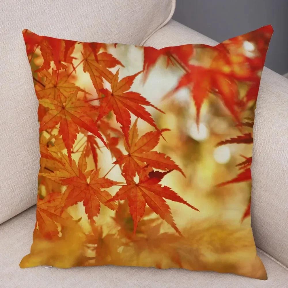 Office Sofa Luxury Cushion Cover Autumn Trees Maple Leaf Flower Pattern Print Home Decor Pillow Cover 45x45cm чёрный
Office Sofa Luxury Cushion Cover Autumn Trees Maple Leaf Flower Pattern Print Home Decor Pillow Cover 45x45cm чёрный