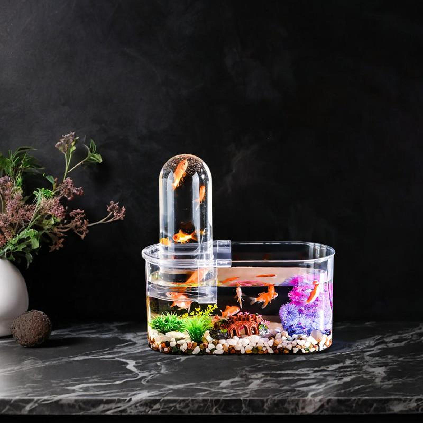 Чаша для аквариума Betta Fish Tank Bowl Multiuse Sturted с герметичной крышкой, небольшой настольный аквариум для рабочего стола Oval short
Чаша для аквариума Betta Fish Tank Bowl Multiuse Sturted с герметичной крышкой, небольшой настольный аквариум для рабочего стола Oval short