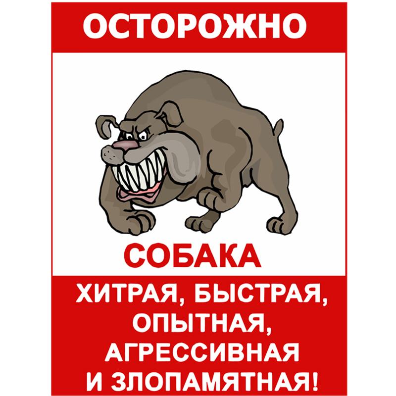 J25# Внимание! Собака хитрая, быстрая, наклейки, виниловая наклейка, водонепроницаемая наклейка для украшения автомобиля
J25# Внимание! Собака хитрая, быстрая, наклейки, виниловая наклейка, водонепроницаемая наклейка для украшения автомобиля