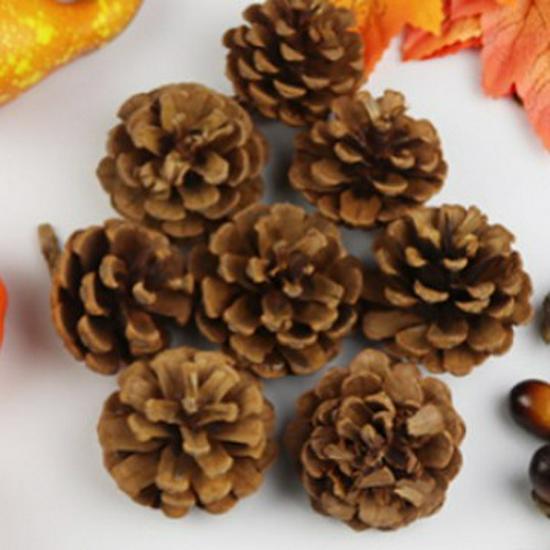 Foam Pumpkin & Maple Leaf Props for Halloween
Foam Pumpkin & Maple Leaf Props for Halloween
