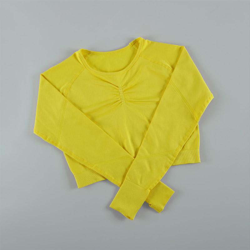 Женские бесшовные топы, женские рубашки для йоги с длинным рукавом, эластичный топ для фитнеса и спорта XL жёлтый
Женские бесшовные топы, женские рубашки для йоги с длинным рукавом, эластичный топ для фитнеса и спорта XL жёлтый