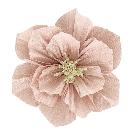 Цветы из крепированной бумаги DIY Ручная работа Бумажные цветы Настенный декор для дома Вечеринки Свадьбы Дня рождения 20cm светло-розовый
Цветы из крепированной бумаги DIY Ручная работа Бумажные цветы Настенный декор для дома Вечеринки Свадьбы Дня рождения 20cm светло-розовый