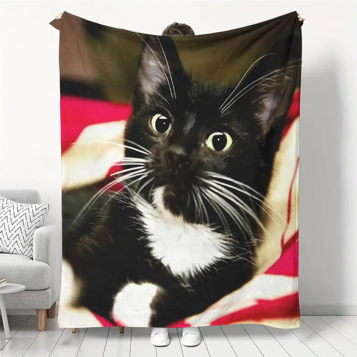 Cute black and white cat pattern Flannel printed blanket suitable for all seasons suitable for living room office sofa travel 75x100cm (30x40inch)
Cute black and white cat pattern Flannel printed blanket suitable for all seasons suitable for living room office sofa travel 75x100cm (30x40inch)