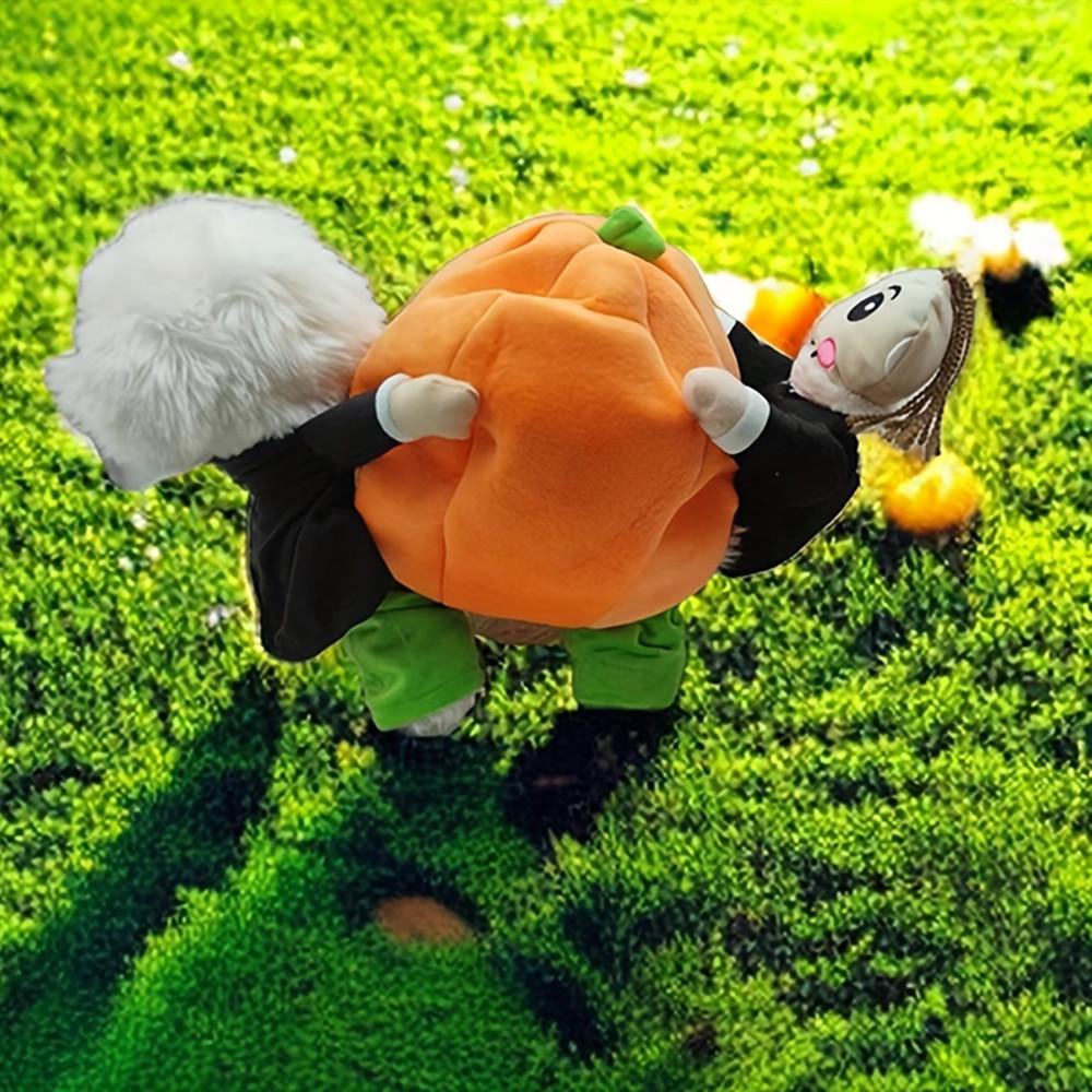 Pet Pumpkin Costume: Small Dog Funny Outfit for Corgi, Teddy - Hilarious Pumpkin Festival Attire S
Pet Pumpkin Costume: Small Dog Funny Outfit for Corgi, Teddy - Hilarious Pumpkin Festival Attire S