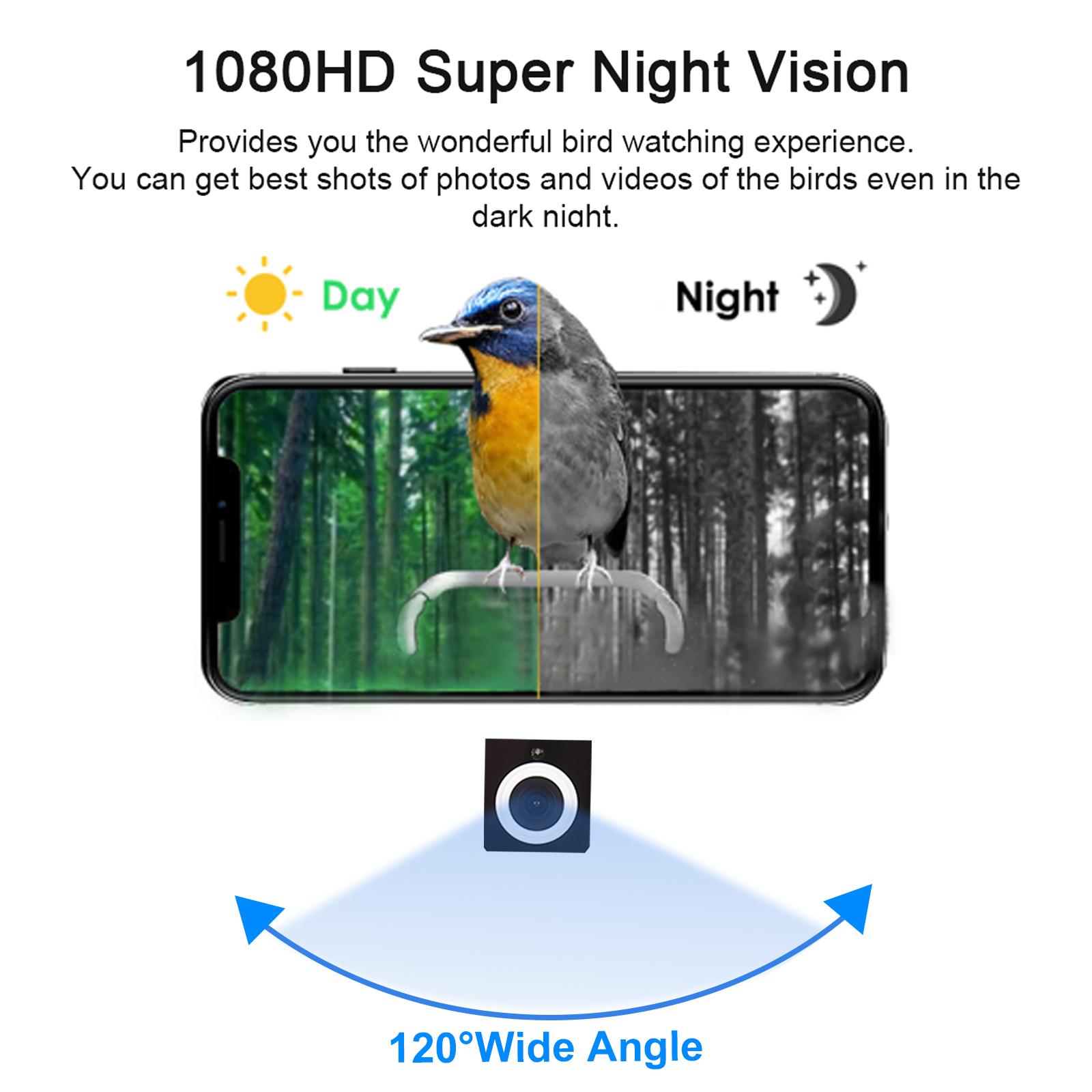 Smart Bird Feeder Camera 1080P HD Camera Color Night Smart AI Identify Bird Species PIR Human Detection Video Wild Bird Feeder with De
Smart Bird Feeder Camera 1080P HD Camera Color Night Smart AI Identify Bird Species PIR Human Detection Video Wild Bird Feeder with De