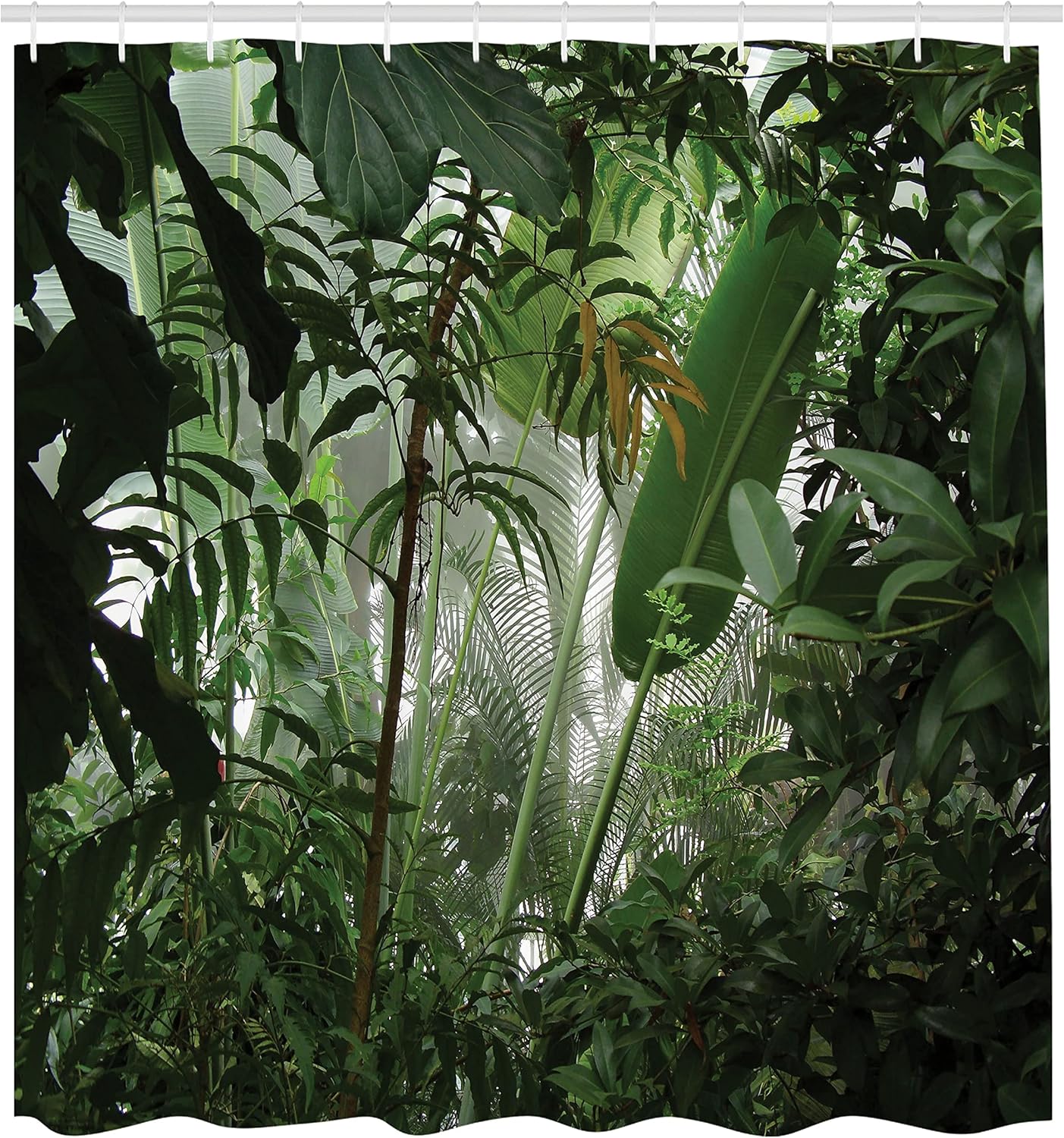 Rainforest Shower Curtain, Tropical Rainforest Preservation Humidity Palm Tree Wild Environment Misty Nature, Cloth Fa W60H190(CM)-1 Pcs
Rainforest Shower Curtain, Tropical Rainforest Preservation Humidity Palm Tree Wild Environment Misty Nature, Cloth Fa W60H190(CM)-1 Pcs
