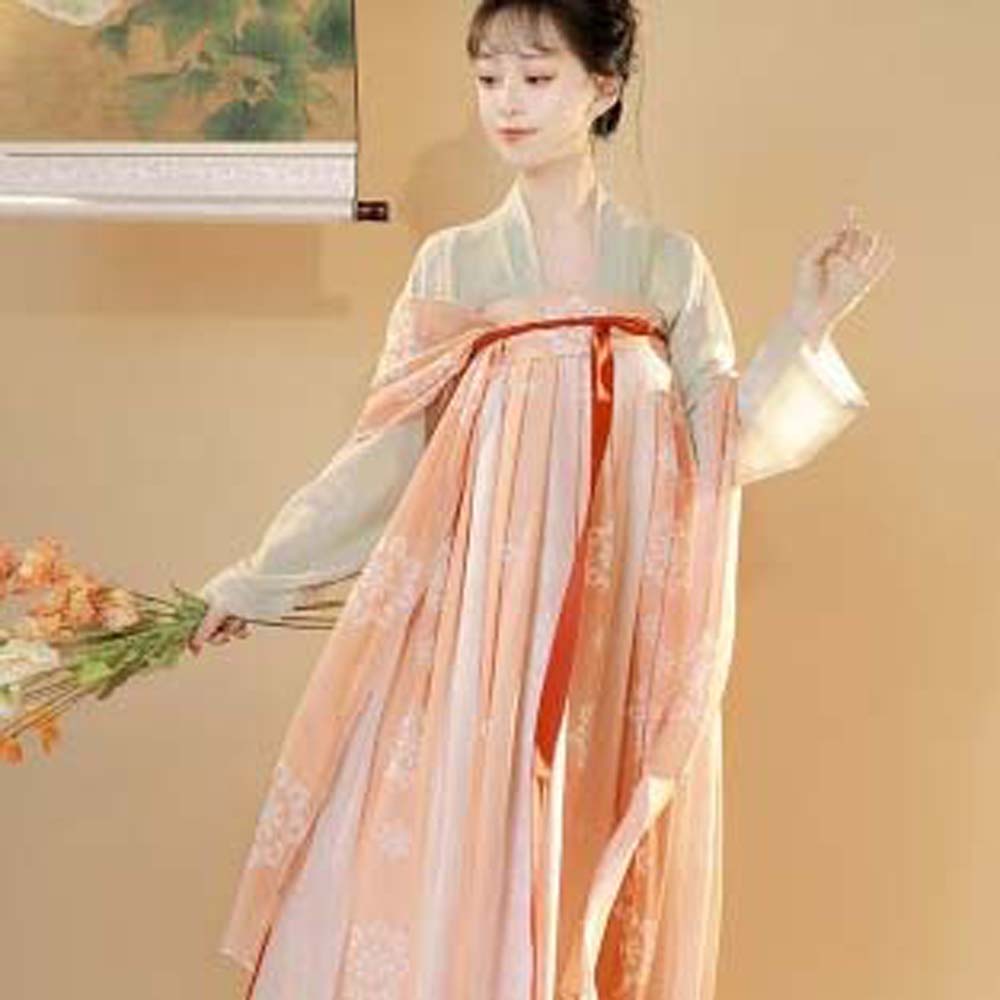 Stage Costumes Chinese Hanfu Skirt Cosplay Dress Chinese Costume Chinese Ancient Dress Party
Stage Costumes Chinese Hanfu Skirt Cosplay Dress Chinese Costume Chinese Ancient Dress Party