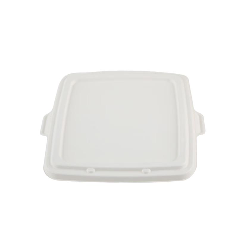GuangBo W48143 Bagasse Food Container 23.5x26.8x5.2cm
GuangBo W48143 Bagasse Food Container 23.5x26.8x5.2cm
