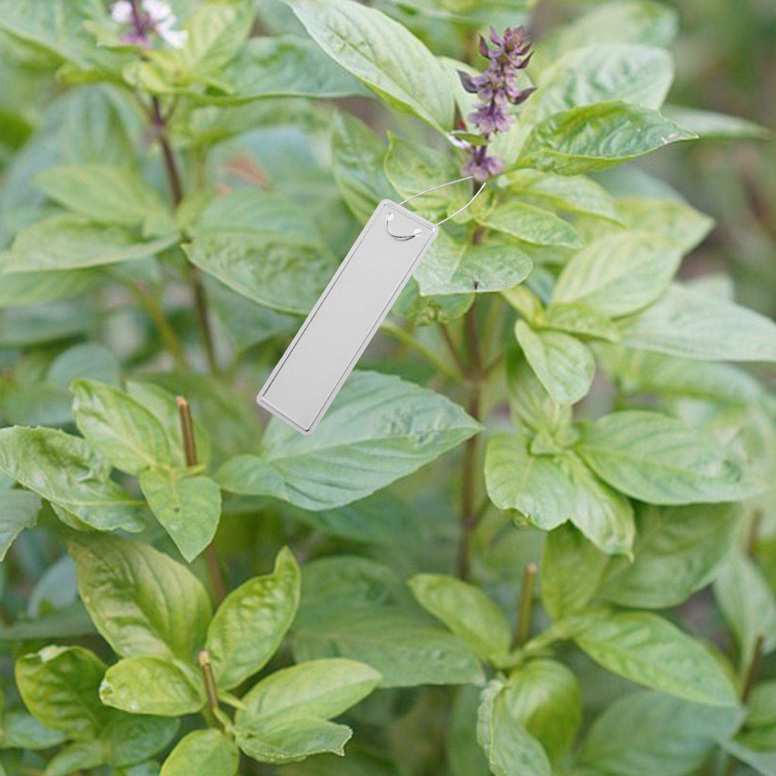 For Garden Organization As Picture Show Waterproof Plant Tags Weather-resistant Labels Easy To Attach Metal Wires Included China Mainland
For Garden Organization As Picture Show Waterproof Plant Tags Weather-resistant Labels Easy To Attach Metal Wires Included China Mainland