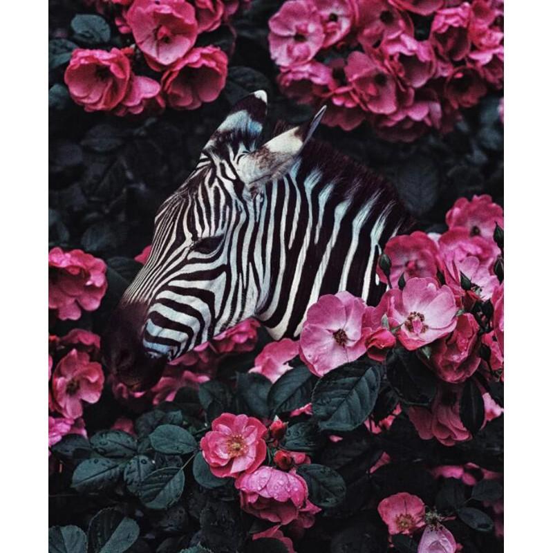 Круглый Diy Алмазная картина вышивка крестом 5D Алмазная мозаика Вышивка Пейзаж Животные Горный хрусталь Мозаика Подарок Украшение дома DIY Ручная работа 15x20CM
Круглый Diy Алмазная картина вышивка крестом 5D Алмазная мозаика Вышивка Пейзаж Животные Горный хрусталь Мозаика Подарок Украшение дома DIY Ручная работа 15x20CM