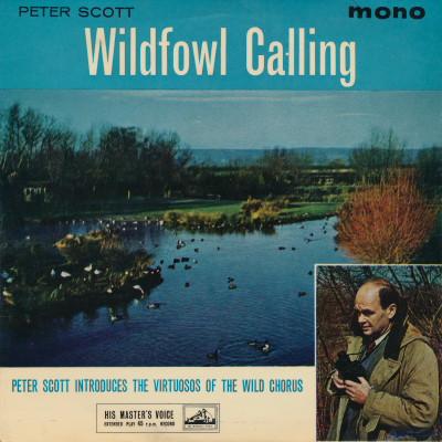 7inch Record SIR PETER SCOTT , PETER DUDDRIDGE - Wildfowl Calling 7EG8764 His Master s Vo UK Sound Effects & Nature Used
7inch Record SIR PETER SCOTT , PETER DUDDRIDGE - Wildfowl Calling 7EG8764 His Master s Vo UK Sound Effects & Nature Used