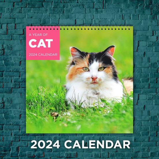 Календарь Cat-Astrofe на 2024 год. Целостное ежемесячное планирование с пустым местом для письма. Настольный календарь на толстой доске.
Календарь Cat-Astrofe на 2024 год. Целостное ежемесячное планирование с пустым местом для письма. Настольный календарь на толстой доске.