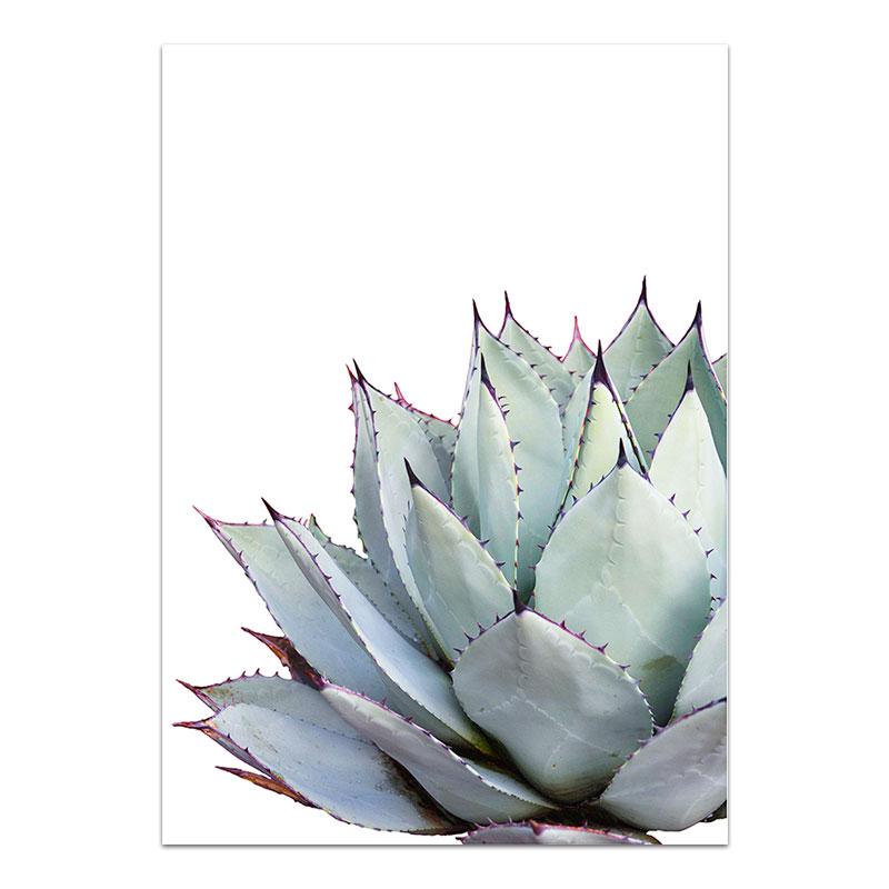 Розовый цветок, холст, картина, скандинавский плакат с тропическими растениями и принтом, сочный кактус, настенная картина для гостиной, домашний декор 21x30cm No Frame
Розовый цветок, холст, картина, скандинавский плакат с тропическими растениями и принтом, сочный кактус, настенная картина для гостиной, домашний декор 21x30cm No Frame