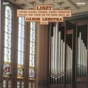 LP Record FRANZ LISZT GBOR LEHOTKA Weinen Klagen Sorgen Zagen Var SLPD12562 Hungaroton 1985 Hungary Classical Used
LP Record FRANZ LISZT GBOR LEHOTKA Weinen Klagen Sorgen Zagen Var SLPD12562 Hungaroton 1985 Hungary Classical Used