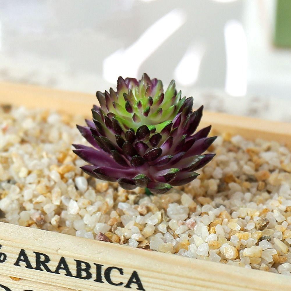 2pcs Mini Artificial Succulent Plants DIY Simulated Floral Plants Office purple&green-ordinary
2pcs Mini Artificial Succulent Plants DIY Simulated Floral Plants Office purple&green-ordinary