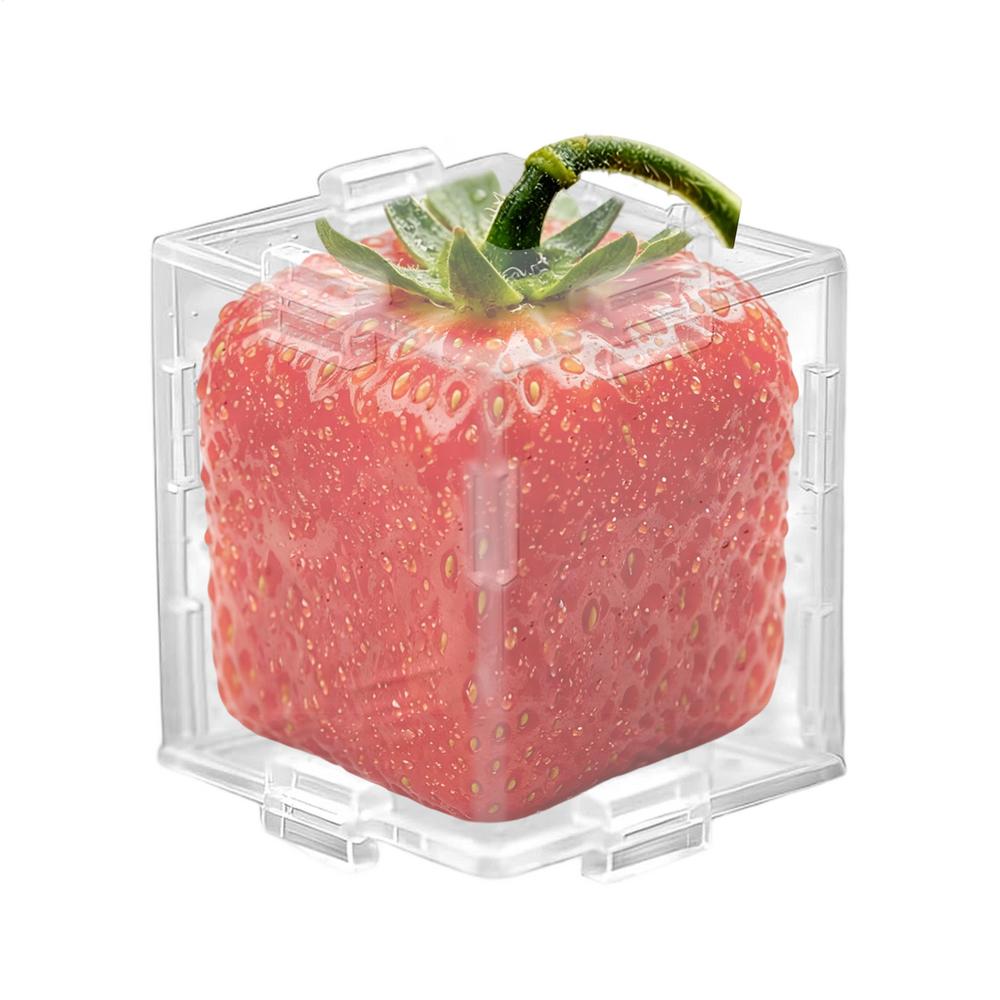 Cucumber Molds Transparent Reusable Cucumber Styling Growth Mold For Pumpkin Tomatoes Garden Yard Patio Apartment Backyard светло-зеленый
Cucumber Molds Transparent Reusable Cucumber Styling Growth Mold For Pumpkin Tomatoes Garden Yard Patio Apartment Backyard светло-зеленый